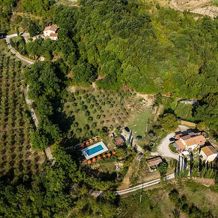 Santa Caterina