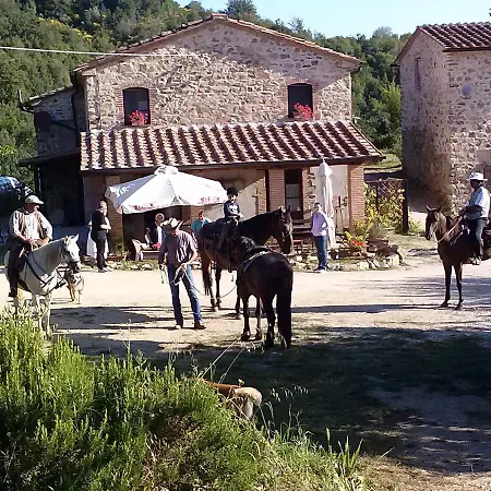 Santa Caterina *